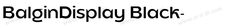 BalginDisplay Black字体转换